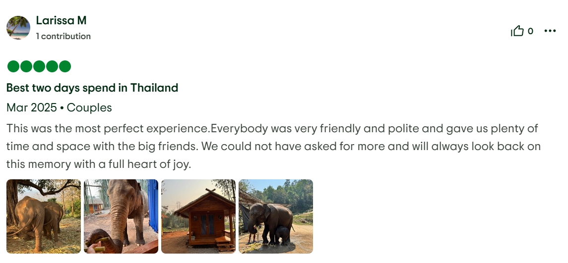 pon elephpant chiangmai thailand reviews